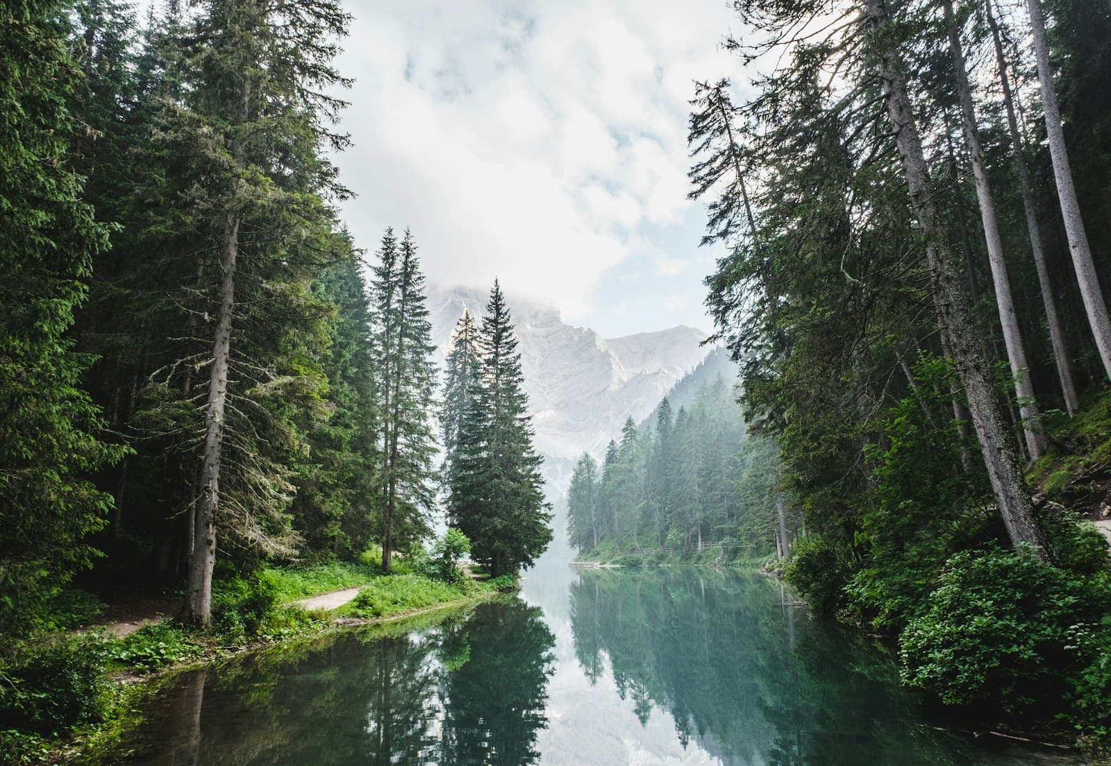 Beispielbild: See und Nadelwald in einer bergigen Landschaft.